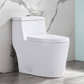 Dual Flush Elongated One Piece Toilet with Soft Close A890