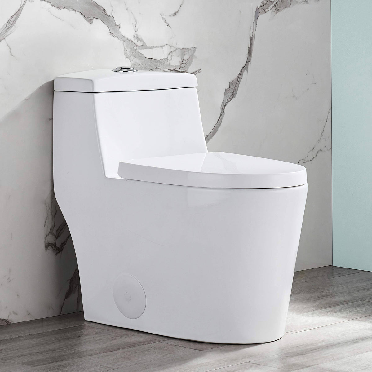 Dual Flush Elongated One Piece Toilet with Soft Close A890