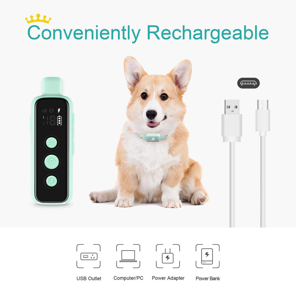Waterproof Rechargeable Electric Dog Training Collar with Remote X29187