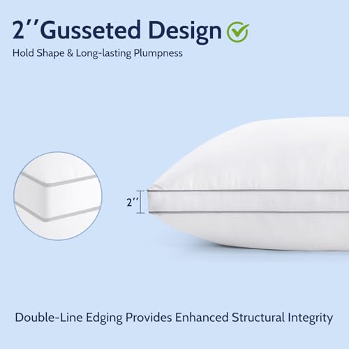 King Size Set of 2 Down Alternative Pillows U3651