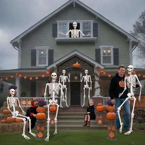 5.4ft Life Size Skeleton with Movable Joints V769