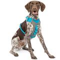 Dog Harness C4371