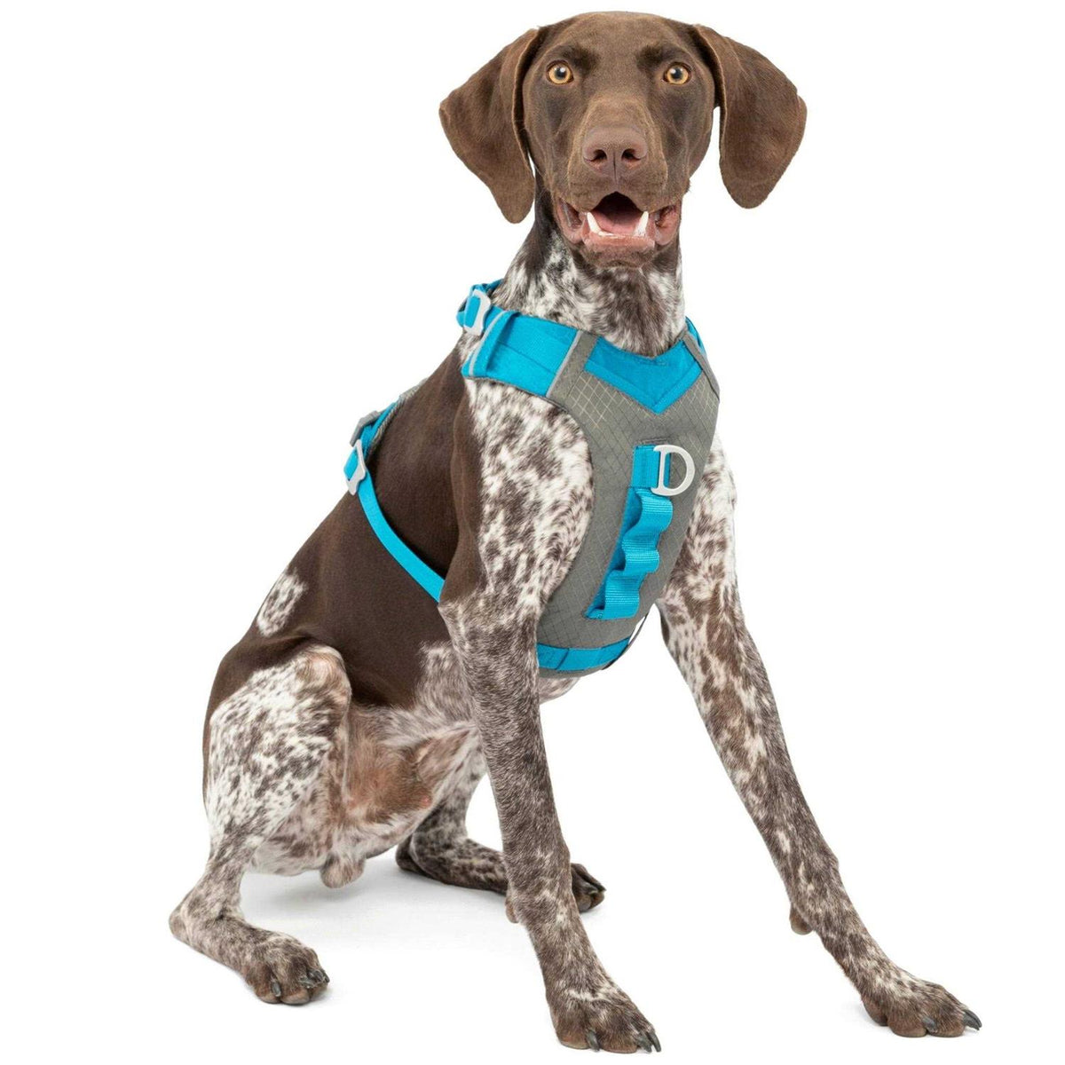 Dog Harness C4371