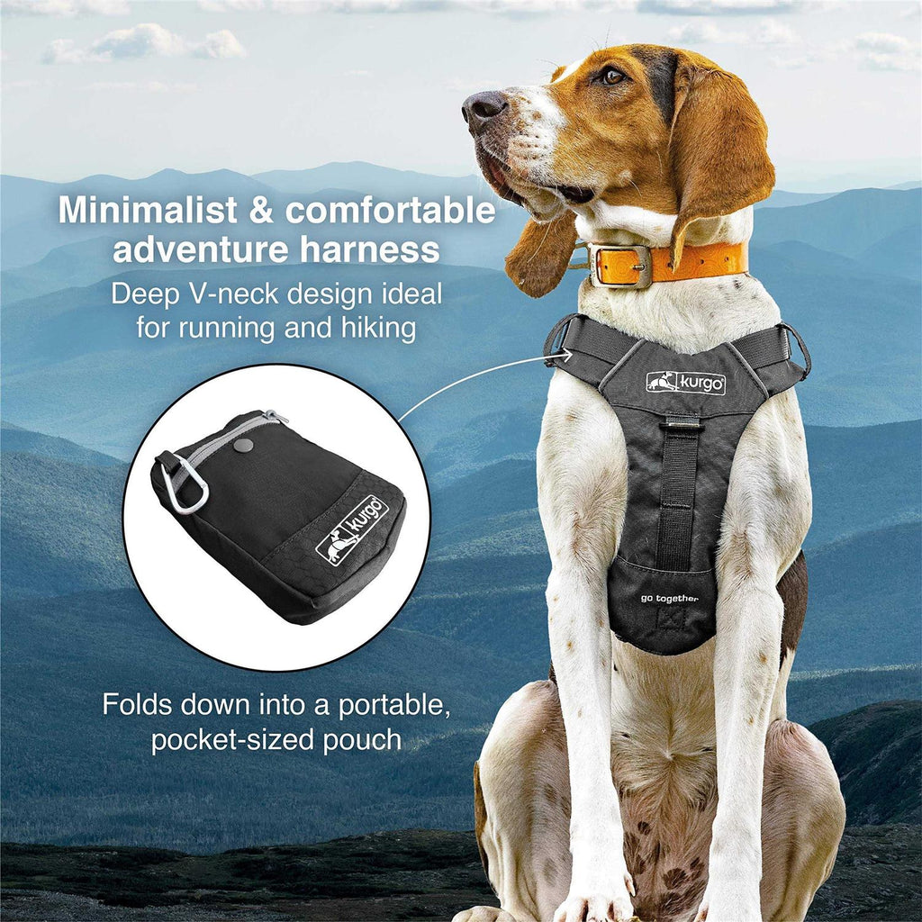 Dog Harness C356