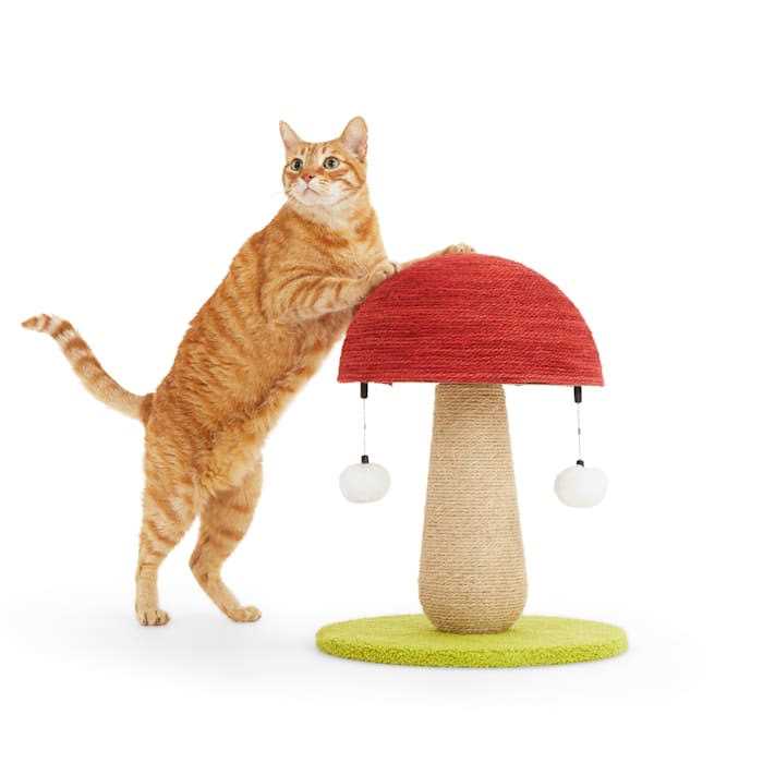 Toadstool Scratch Post for Cats E805
