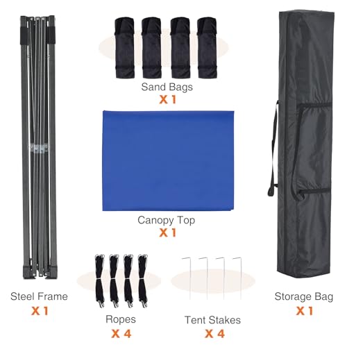 10x10 Heavy Duty Pop Up Canopy Tent with Sand Bags and Carrying Bag P2609