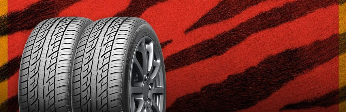 All-Season Radial Car Tire 225/60ZR18 100W J4911