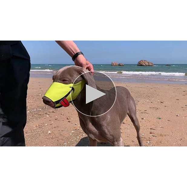 Dog Muzzle with Soft Breathable Air Mesh Nylon F33125