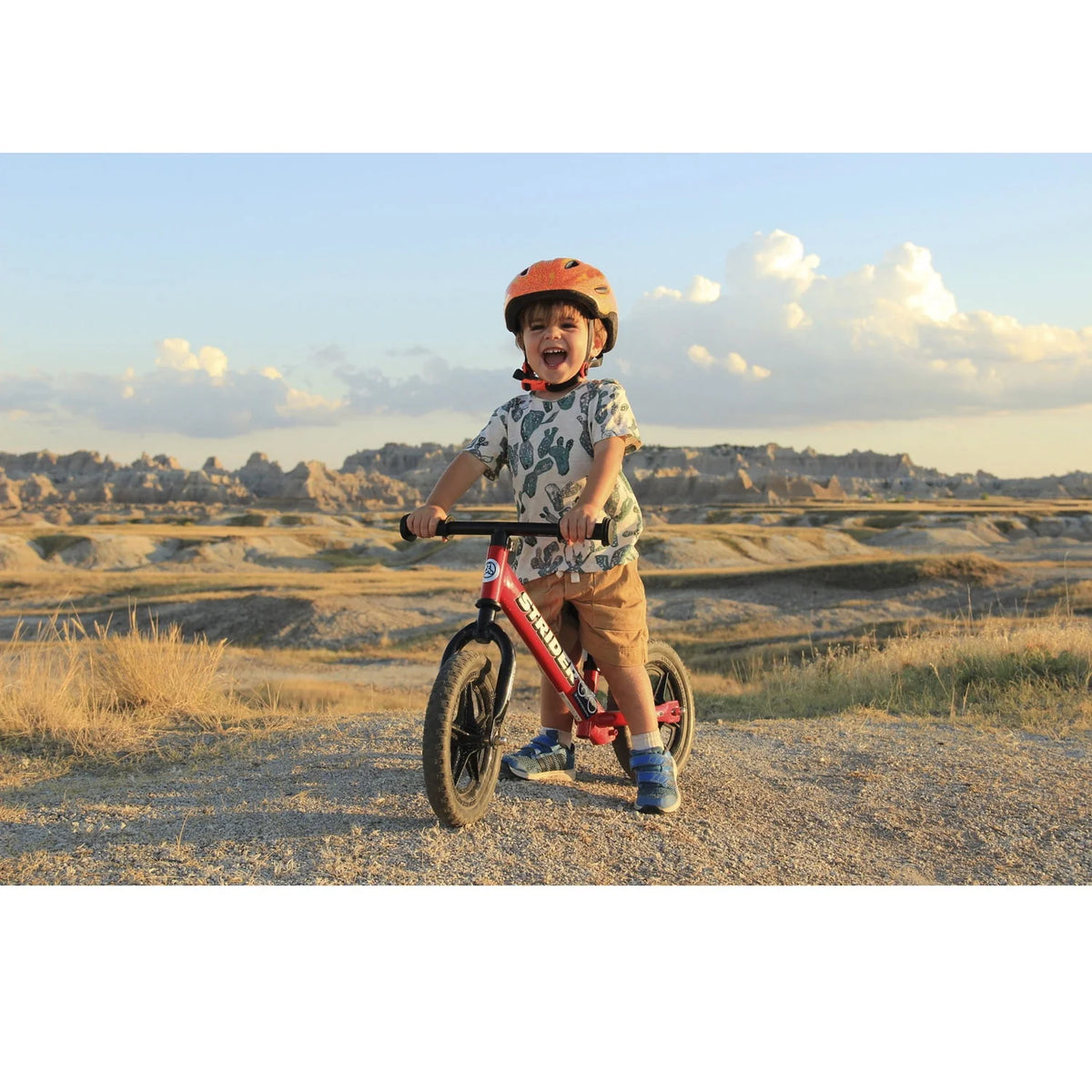 Red Balance Bike T191