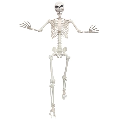 5.4ft Life Size Skeleton with Movable Joints V769