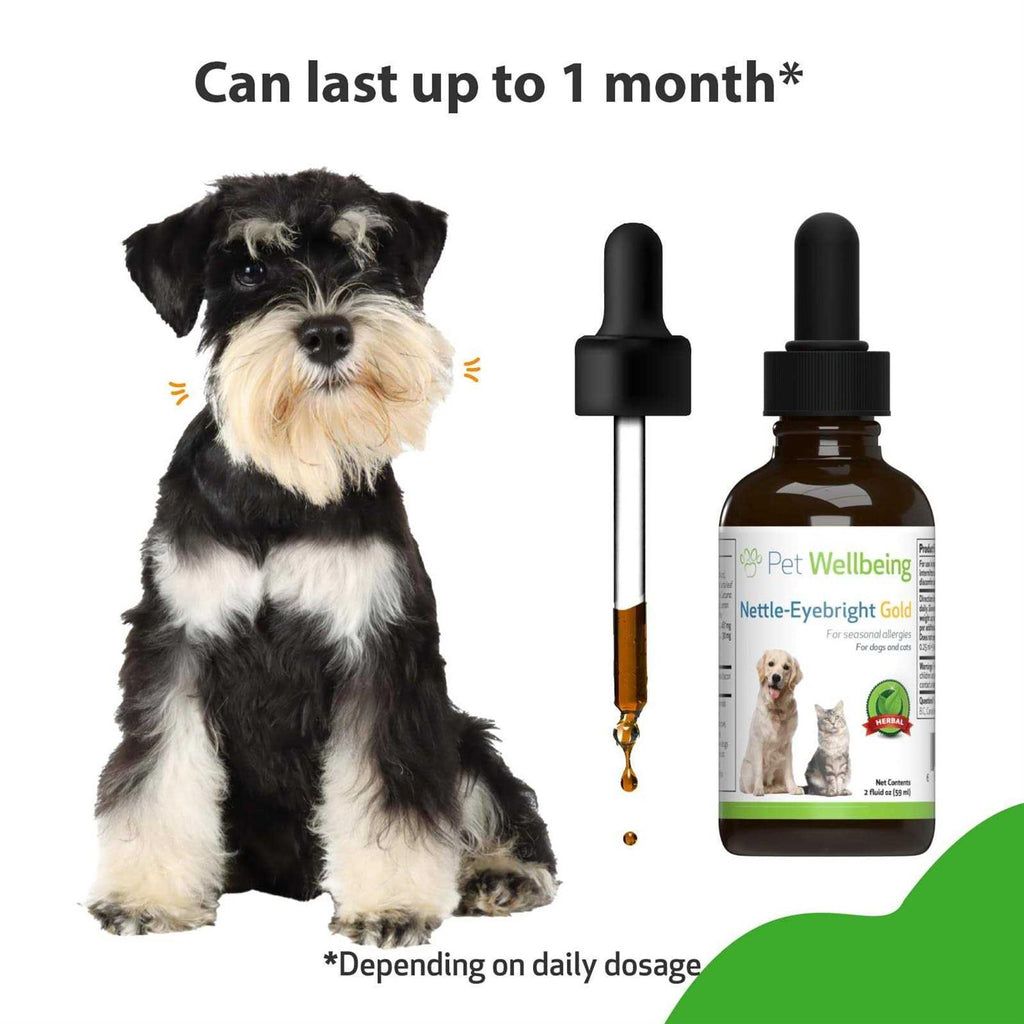 Nettle Eyebright Gold for Dogs H56496