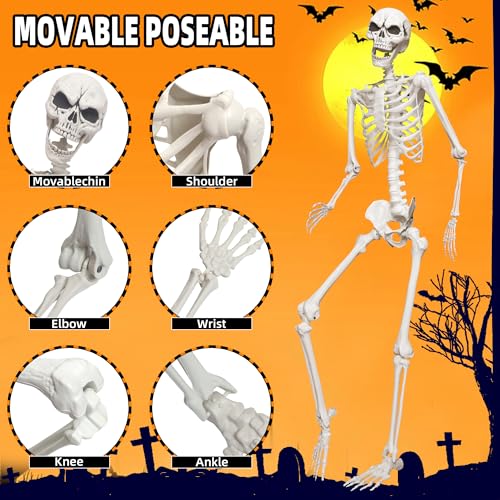 5.4ft Life Size Skeleton with Movable Joints V769